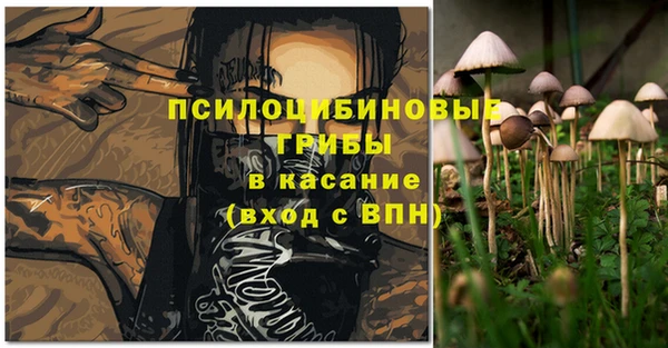 дмт Абаза