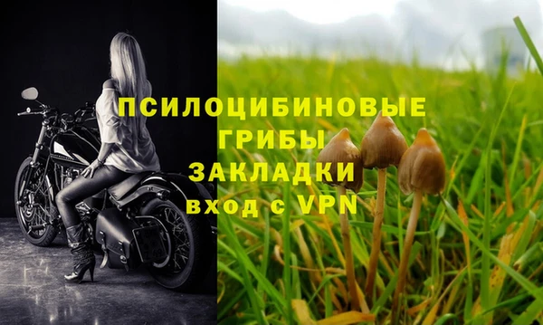ALPHA PVP Протвино