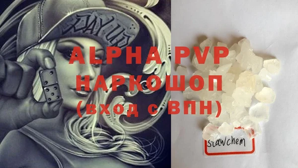 дмт Абаза