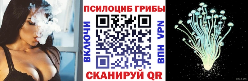как найти   Аксай  Псилоцибиновые грибы Cubensis 